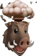 boar boom